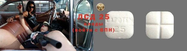 соль ск Абаза