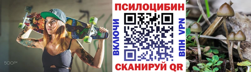 Псилоцибиновые грибы GOLDEN TEACHER  Стрежевой 